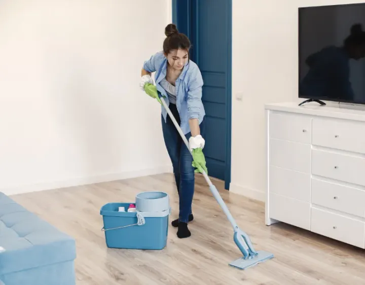 Femme de ménage La Norville